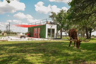 Best Little Fredericksburg Texas Bed And Breakfast - Fredericksburg - 5