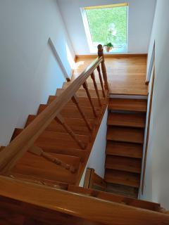Lend apartman in the garden - Miercurea-Ciuc - 2