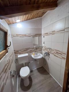 Domačija Paternoster - Litija - 7