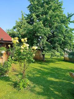 Villa Majida Ilidža - Sarajevo - 3