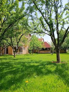 Villa Majida Ilidža - Sarajevo - 2