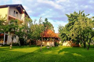 Villa Majida Ilidža - Sarajevo - 4