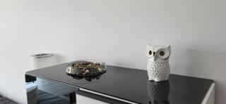Apartament Przejazdowa - Racibórz - 4