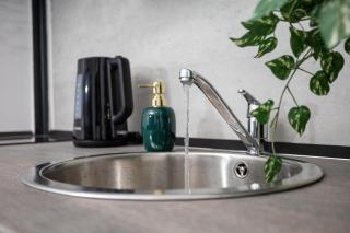 Green Goblin Apartment with FREE PRIVATE PARKING - 6
