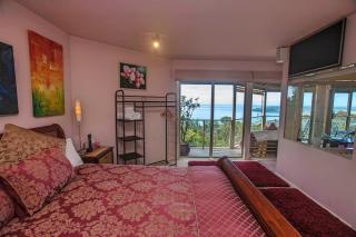 Summit Views Eagle Nest Apartment - Arthurs Seat - 5