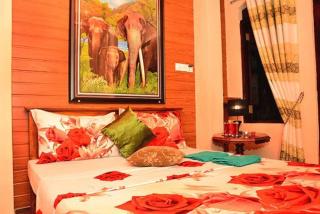 Linda Cottage - Galle - 8