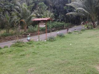 Xylla Guesthouse - Siquijor - 5