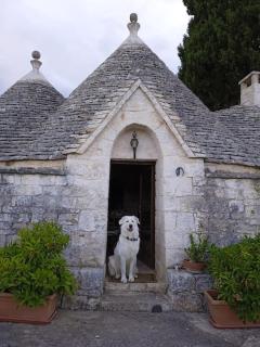 Gasphouse - Castellana Grotte - 6