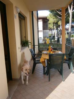 Luca - Bibione - 1