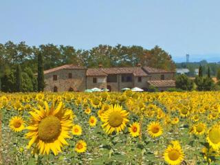 Agriturismo il Canneto - Casole dʼElsa - 8
