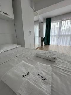 Cozy Deluxe Apartments in Centre of Historical Iasi - Iaşi - 7