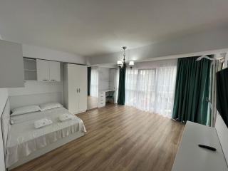 Cozy Deluxe Apartments in Centre of Historical Iasi - Iaşi - 1