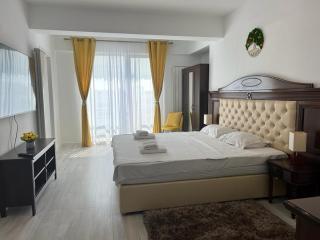 Cozy Deluxe Apartments in Centre of Historical Iasi - 9