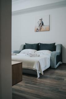 Cozy Deluxe Apartments in Centre of Historical Iasi - 1