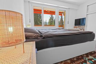 Studio paisible et chaleureux - 5