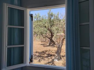 KIOUSIS ESTATE - Spetses - 6