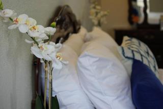 Colony Inn - North Hollywood - 6