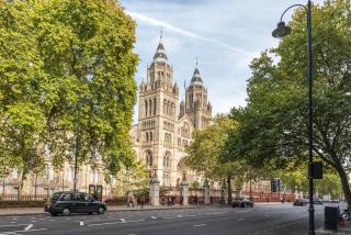 SouthKen Palace Suites - London - 0