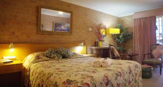 White Lanterns Motel - Armidale - 2