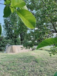 Maison campagne piscine 1hParis 25m Fontainebleau - 8