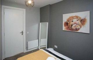 AMAZING 3 BEDROOM HOME, PRIME BT1 POSTCODE AND CITY CENTRE LOCATION - Belfast - 1