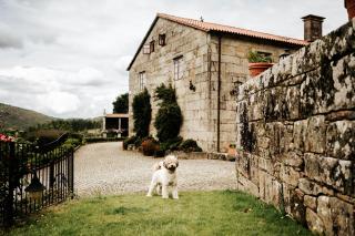 Casa Grande Do Bachao - Saint-Jacques-de-Compostelle - 8