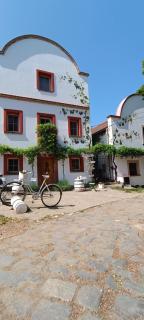 Vinný Tunel - Květinový pokoj se soukromou terasou - 5