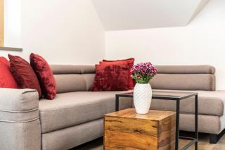 TatryTop Apartamenty GREY HOUSE - Zakopane - 1