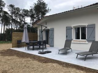 VILLA DES PINS - Cazaubon - 4