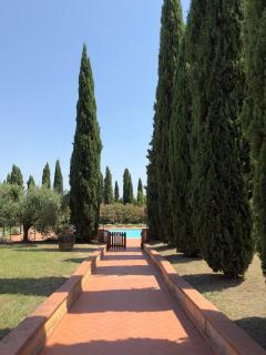 Agriturismo Terra Di Dio Toscanizzazione - Capannoli - 1