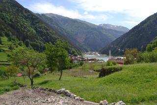 Çay Pansiyon - Uzungöl - 6