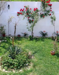 Petrovi Guest House - Obzor - 1