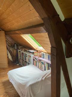 Une chambre dans la verdure - Bordeaux-Saint-Clair - 3