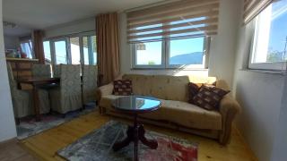 Vila Ejna , Misevici - 1