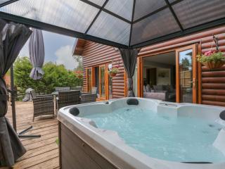 Little Lodge - King's Lynn - 8