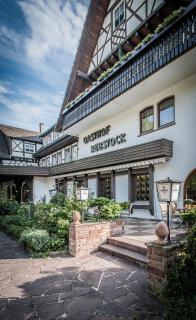 Landhotel Rebstock - Oberkirch - 3
