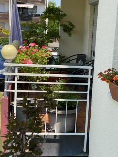 Ferienwohnung Blume - Friedrichshafen - 5