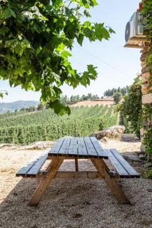Casa do Feitor - Douro - Quinta da Cabrida - Sendim - 4