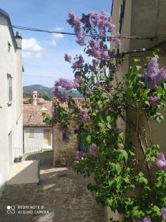 Sant'Elia B&B - Alessandria del Carretto - 4