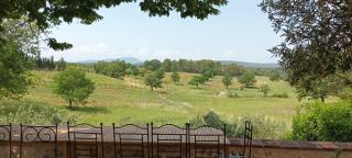 Bastide au milieu des vignes et des oliviers Aups - Aups - 8