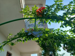 Apartments Mira - Lopar - 9