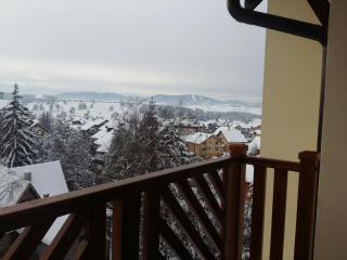 Reka - Zlatibor - 8
