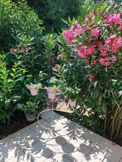 Whole house Ariela, 20m to the beach, has a barbecue, 2 terraces - 7