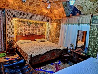 HB king of kings - Srinagar - 1