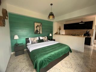 Natura City Center Studio - Braşov - 9