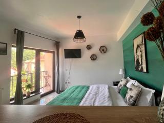 Natura City Center Studio - Braşov - 5