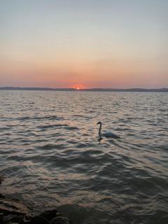 Lakeside Home Apartman - 8