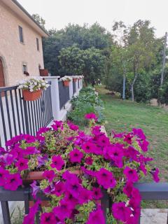 Agriturismo Pavoni - Castelliri - 1