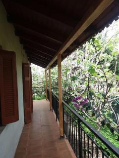 Ideal Cottage Holidays-Ιδανικές Εξοχικές Διακοπές - Áyioi Apóstoloi - 5