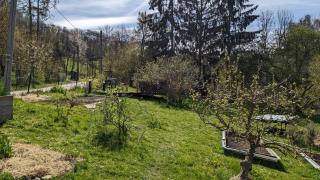 20 min nach Wien, Ruhig und Grün - 6